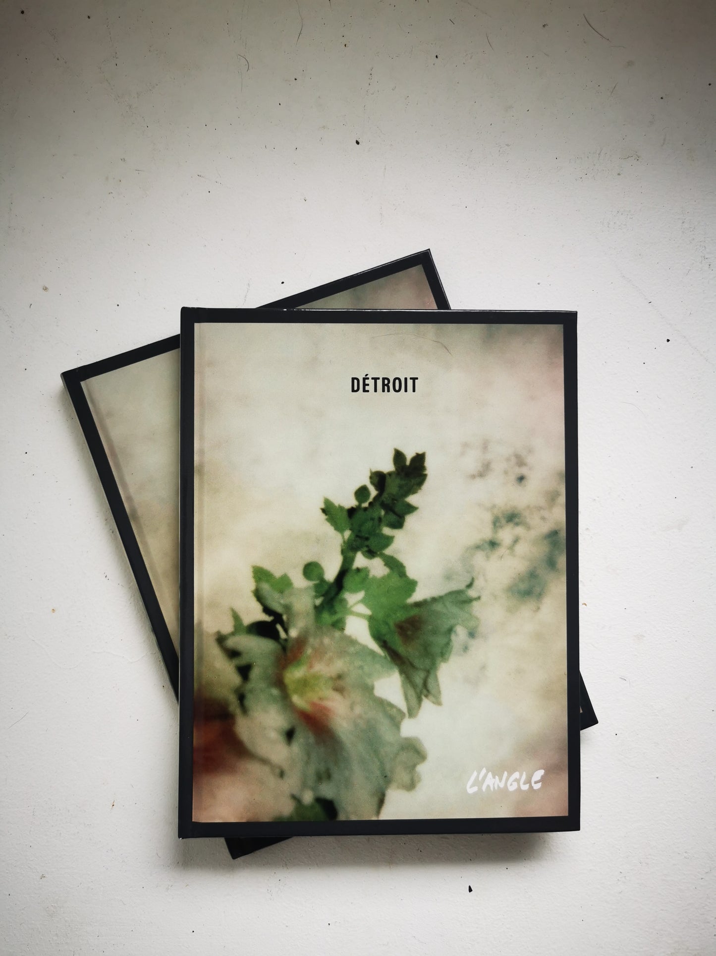 Album Livre CD Ultraluxe